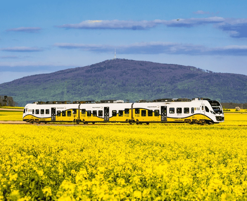 1900x825_Koleje_Dolnoslaskie_case_study